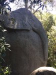 IMG-20160619-WA0016.jpg