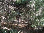 BTT SERRALADA Marina-Litoral (28).JPG