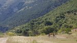 IMG_2890.JPG