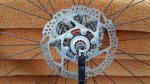 20160619_153856.jpg