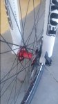 20160619_125818.jpg
