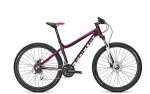 focus_light_gross_fo16_whistler_elite_27_donna_c9b_3ef7b29e1a.jpg