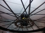 IMG_20160620_171959.jpg