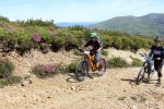 13507147_10206504599481795_3542414161441780557_n - copia.jpg