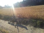 IMG_20160621_190601.jpg