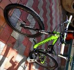 IMG_2195.JPG