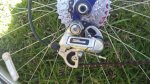 IMG_20160622_160801.jpg