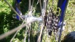 IMG_20160622_161002.jpg