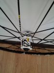 IMG_20160624_092147.jpg