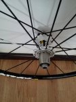 IMG_20160624_092204.jpg