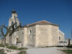 escarabajosa-3.jpg