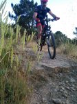 IMG_20160624_212800-Lolo.jpg