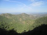 IMG_2994.JPG