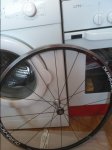 IMG_20160626_105240.jpg