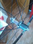 IMG_20160626_105340.jpg