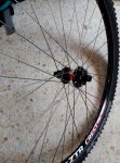 IMG_20160626_114016.jpg
