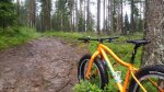 20160627_04.jpg