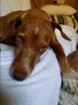 20160628_124423.jpg