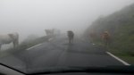 20160625_074643.jpg