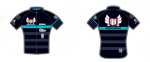 opcio1.png