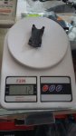 IMG-20160628-WA0004.jpg