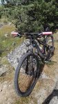 IMG_20160531_172321.jpg