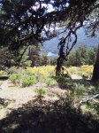 14 Embalse del Río Moros.jpg