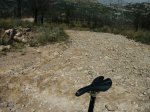 Ruta_03.JPG
