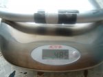 DSCF0082.JPG