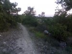 06102007135.jpg