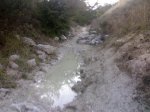 06102007137.jpg