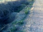 06102007123.jpg
