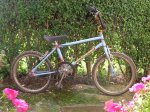 MIS BICIS0162.jpg