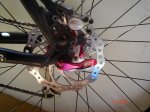 DSC04846.JPG