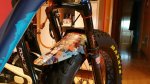 20160423_203315.jpg