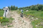 DSC_6137.JPG