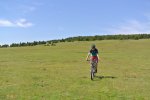 DSC_5842.JPG