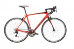synapse-105.jpg