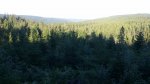 20160704_01.jpg