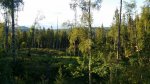 20160704_05.jpg