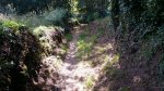 2016-07-05 23.37.20.jpg