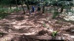 2016-07-05 23.36.48.jpg