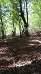 2016-07-05 23.35.15.jpg