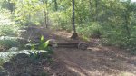 2016-07-05 23.23.09.jpg