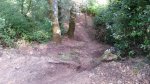 2016-07-05 23.22.17.jpg