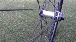 20160705_085226.jpg