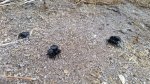 20160705_201501.jpg