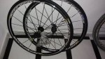 IMG_20160703_213304237.jpg