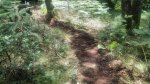 IMG_20160704_141706.jpg