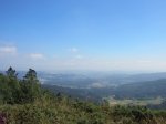 IMG_8051.JPG